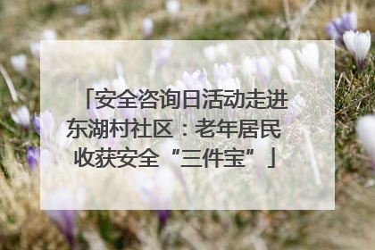 安全咨询日活动走进东湖村社区：老年居民收获安全“三件宝”