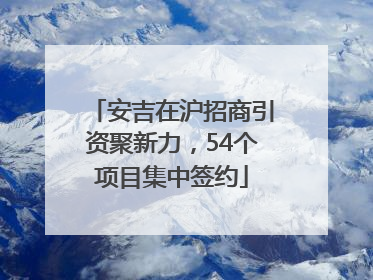 安吉在沪招商引资聚新力，54个项目集中签约