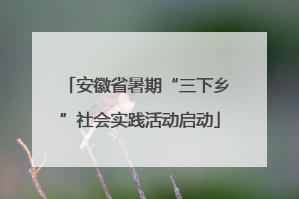 安徽省暑期“三下乡”社会实践活动启动