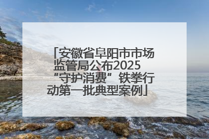安徽省阜阳市市场监管局公布2025“守护消费”铁拳行动第一批典型案例