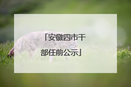 安徽四市干部任前公示