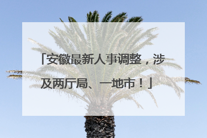 安徽最新人事调整，涉及两厅局、一地市！