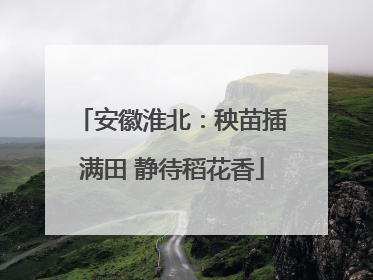 安徽淮北：秧苗插满田 静待稻花香