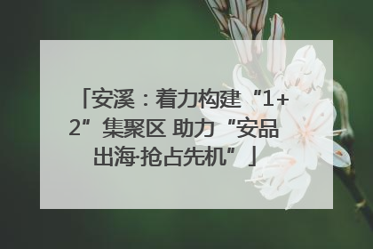 安溪：着力构建“1+2”集聚区 助力“安品出海·抢占先机”