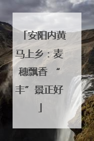 安阳内黄马上乡：麦穗飘香 “丰”景正好