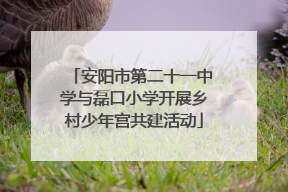 安阳市第二十一中学与磊口小学开展乡村少年宫共建活动