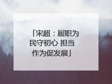 宋超：履职为民守初心 担当作为促发展