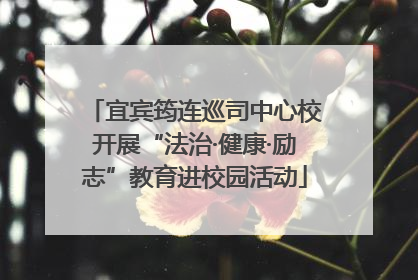 宜宾筠连巡司中心校开展“法治·健康·励志”教育进校园活动
