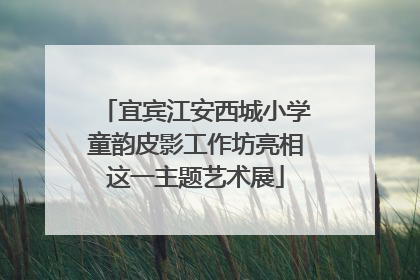 宜宾江安西城小学童韵皮影工作坊亮相这一主题艺术展