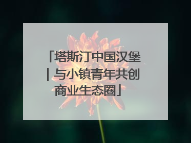塔斯汀中国汉堡｜与小镇青年共创商业生态圈