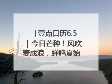 壹点日历6.5｜今日芒种！风吹麦成浪，蝉鸣夏始忙！大家早安