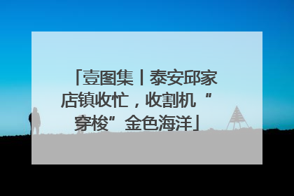 壹图集丨泰安邱家店镇收忙，收割机“穿梭”金色海洋