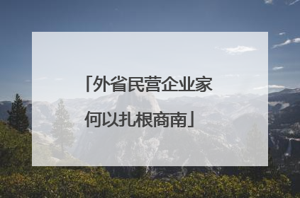 外省民营企业家何以扎根商南