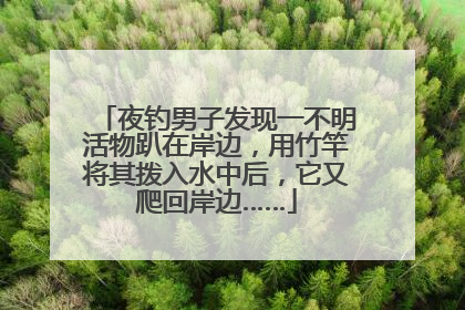 夜钓男子发现一不明活物趴在岸边，用竹竿将其拨入水中后，它又爬回岸边……