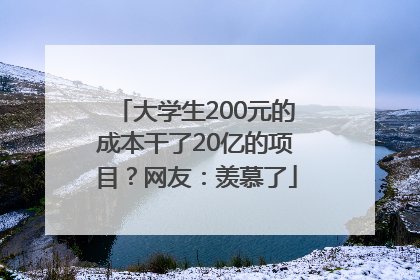 大学生200元的成本干了20亿的项目？网友：羡慕了