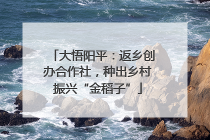 大悟阳平：返乡创办合作社，种出乡村振兴“金稻子”