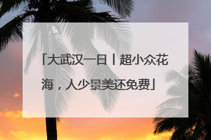 大武汉一日丨超小众花海，人少景美还免费