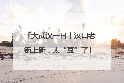 大武汉一日︱汉口老街上新，太“豆”了