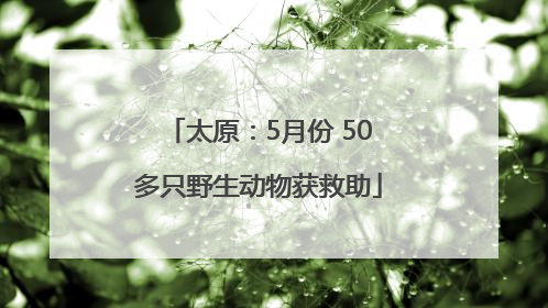太原：5月份 50多只野生动物获救助