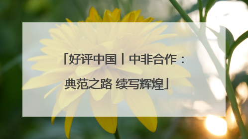 好评中国丨中非合作：典范之路 续写辉煌