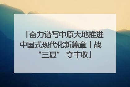 奋力谱写中原大地推进中国式现代化新篇章丨战“三夏” 夺丰收