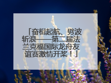 奋楫起航、劈波斩浪——第二届法兰克福国际龙舟友谊赛激情开桨！