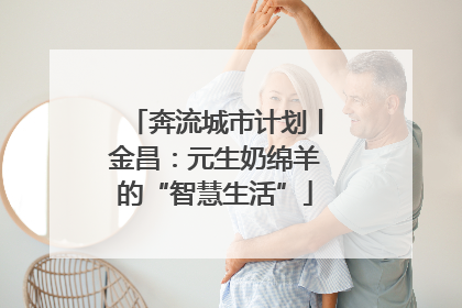 奔流城市计划丨金昌：元生奶绵羊的“智慧生活”