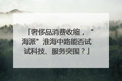 奢侈品消费收缩，“海派”淮海中路能否试试科技、服务突围？
