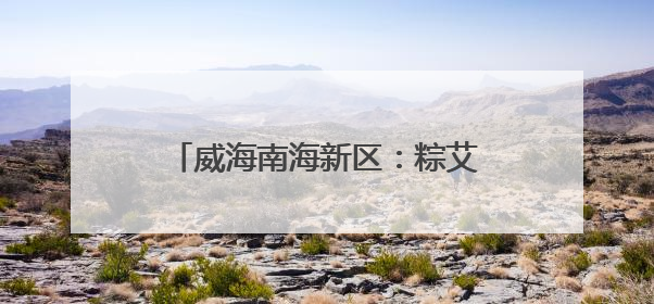 威海南海新区：粽艾传温情 龙舟竞端午
