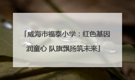 威海市福泰小学：红色基因润童心 队旗飘扬筑未来