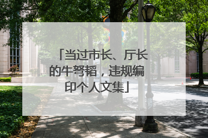当过市长、厅长的牛弩韬，违规编印个人文集