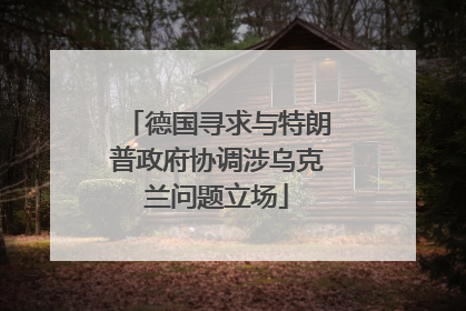 德国寻求与特朗普政府协调涉乌克兰问题立场