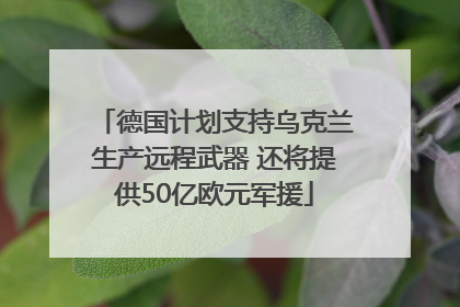 德国计划支持乌克兰生产远程武器 还将提供50亿欧元军援