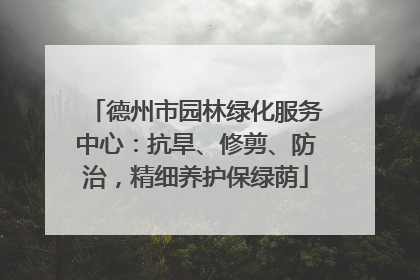 德州市园林绿化服务中心：抗旱、修剪、防治，精细养护保绿荫