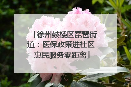 徐州鼓楼区琵琶街道：医保政策进社区 惠民服务零距离