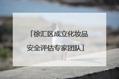徐汇区成立化妆品安全评估专家团队