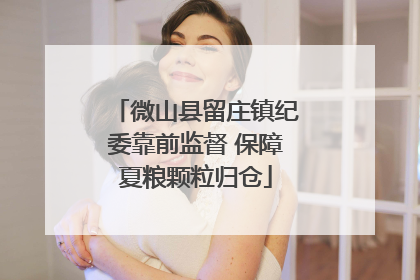 微山县留庄镇纪委靠前监督 保障夏粮颗粒归仓