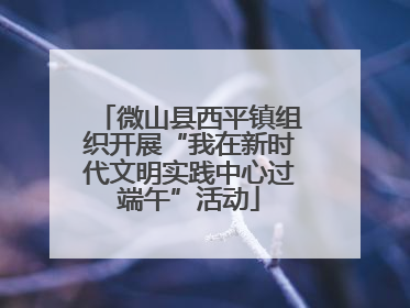 微山县西平镇组织开展“我在新时代文明实践中心过端午”活动