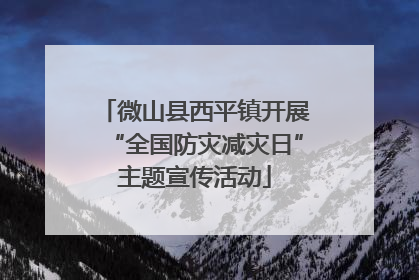 微山县西平镇开展“全国防灾减灾日”主题宣传活动