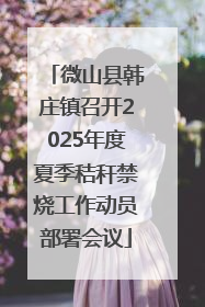 微山县韩庄镇召开2025年度夏季秸秆禁烧工作动员部署会议