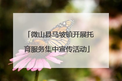 微山县马坡镇开展托育服务集中宣传活动
