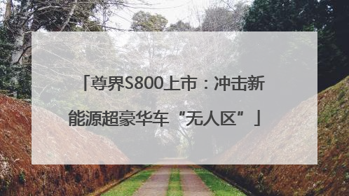 尊界S800上市：冲击新能源超豪华车“无人区”