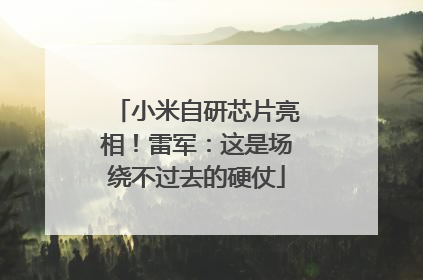 小米自研芯片亮相！雷军：这是场绕不过去的硬仗