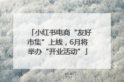 小红书电商“友好市集”上线，6月将举办“开业活动”