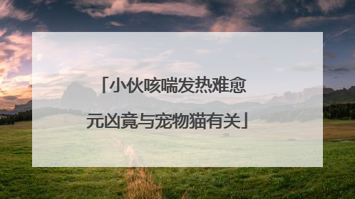 小伙咳喘发热难愈 元凶竟与宠物猫有关