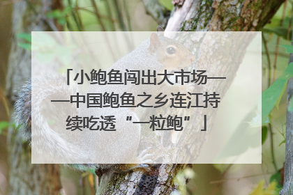 小鲍鱼闯出大市场——中国鲍鱼之乡连江持续吃透“一粒鲍”