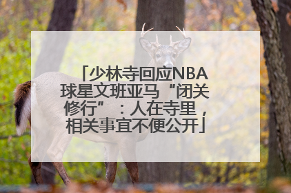 少林寺回应NBA球星文班亚马“闭关修行”：人在寺里，相关事宜不便公开
