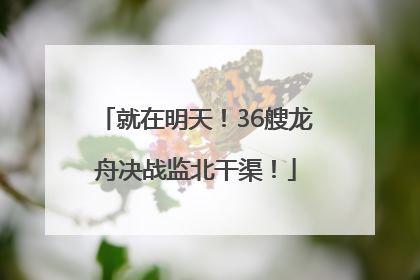 就在明天！36艘龙舟决战监北干渠！