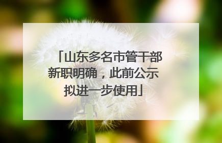 山东多名市管干部新职明确，此前公示拟进一步使用