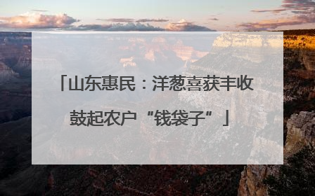 山东惠民：洋葱喜获丰收 鼓起农户“钱袋子”